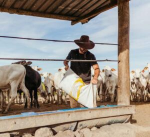 Analyse de ‘We Feed the World’ : Comprendre les Complexités du Système Alimentaire Mondial