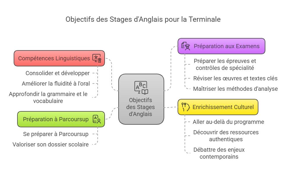 Carte mentale illustrant les objectifs pédagogiques des stages d'anglais en Terminale à Ipécom Paris : compétences linguistiques, préparation aux examens, enrichissement culturel et préparation à Parcoursup.