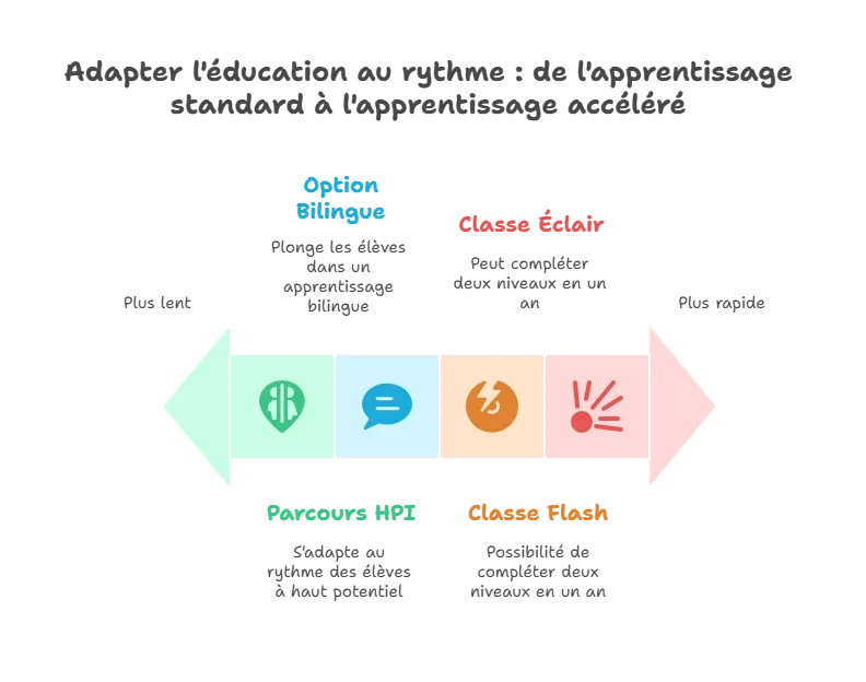 Parcours Pédagogiques du Collège Privé Ipécom Paris – HPI, Option Bilingue, Classes Éclair et Flash Infographie des parcours pédagogiques du collège privé Ipécom Paris : bilingue, HPI, classes Éclair et Flash