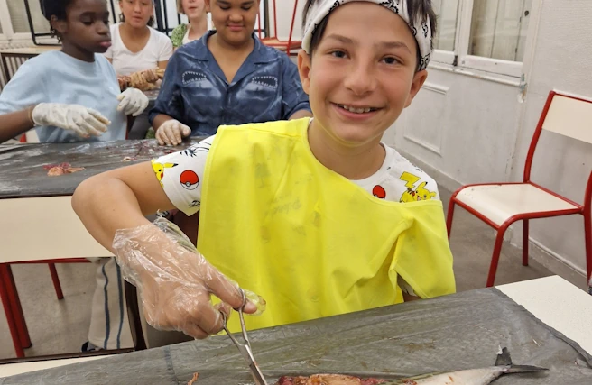 dissection de poissons, classe flash SVT-3