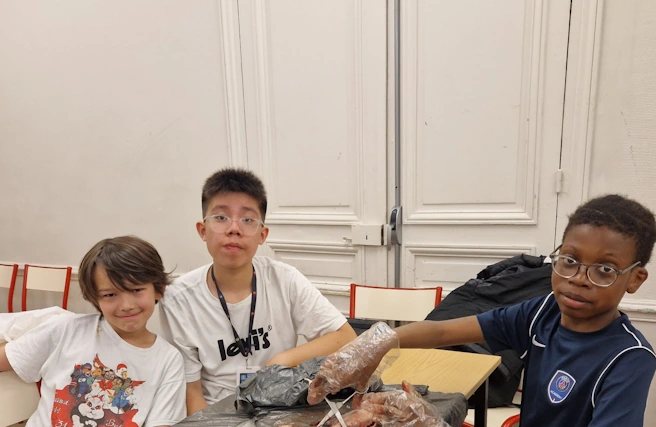 dissection de poissons, classe flash SVT