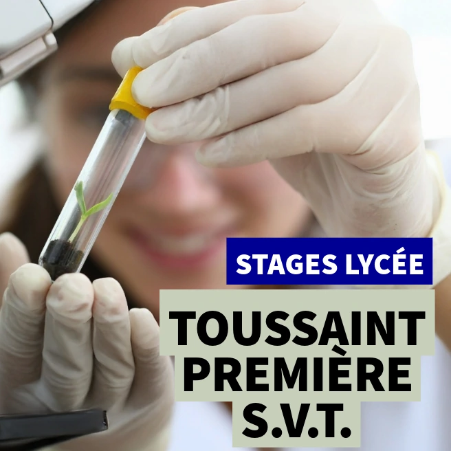 Élève manipulant un échantillon végétal en laboratoire – Stage SVT Toussaint Première à Ipécom Paris