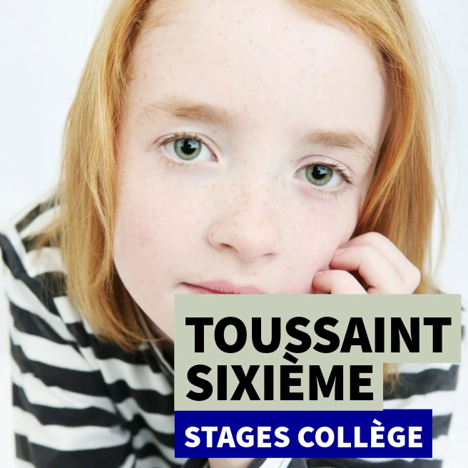 Élève de Sixième – Stage Toussaint Ipécom Paris en français et mathématiques