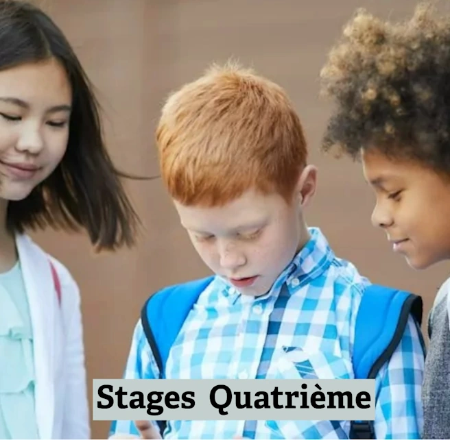 Élèves de Quatrième travaillant ensemble lors d’un stage scolaire – apprentissages et méthodologie au collège