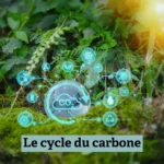 Interface symbolique du cycle du carbone montrant le CO₂ au cœur des échanges entre biosphère, climat et activités humaines.