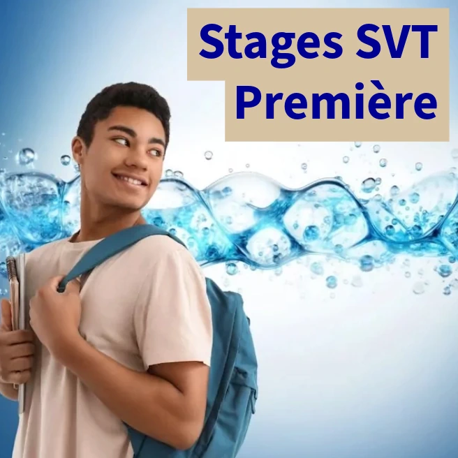 Stage de SVT en Première à Ipécom Paris : élève de Première préparant les sciences de la vie et de la Terre pendant un stage intensif.