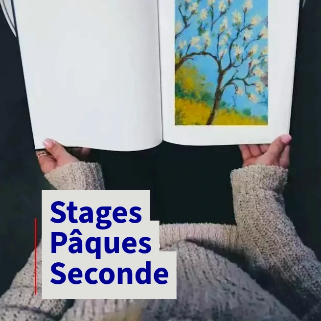 Élève de Seconde consultant un livre illustré au printemps – Stages intensifs de Pâques 2026 à Ipécom Paris.