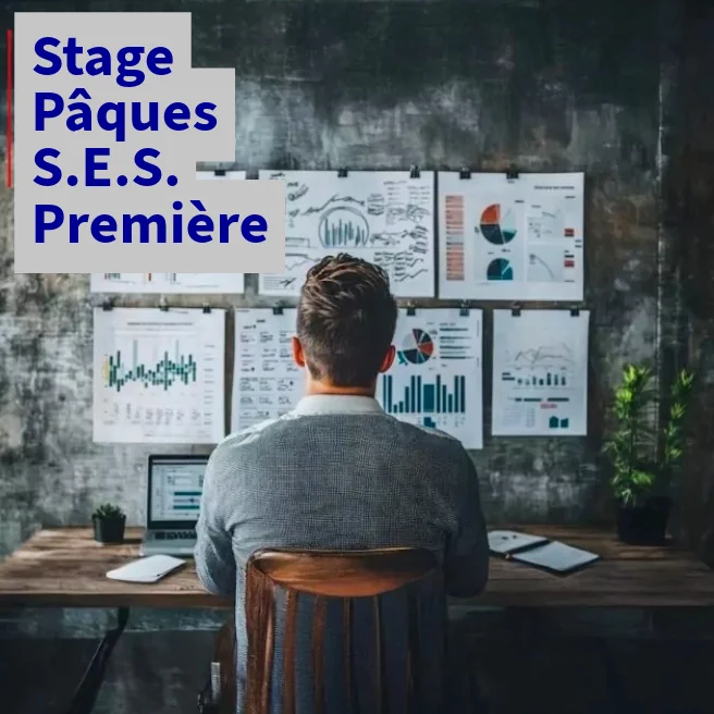 Élève analysant des graphiques économiques – stage S.E.S. Première vacances de Pâques à Paris.